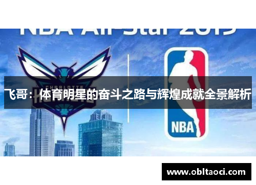 飞哥：体育明星的奋斗之路与辉煌成就全景解析